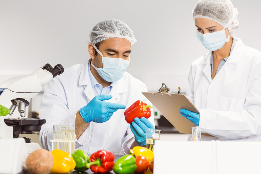En este momento estás viendo Calidad, inocuidad alimentaria y seguridad alimentaria
