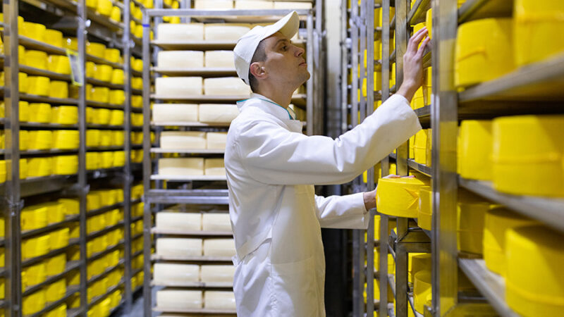 Operario de la industria alimentaria verificando calidad de los productos
